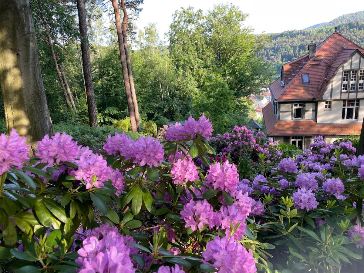 Villa Sonnenburg Бад-Шандау Экстерьер фото